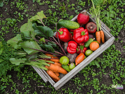 garden_toolkit.png